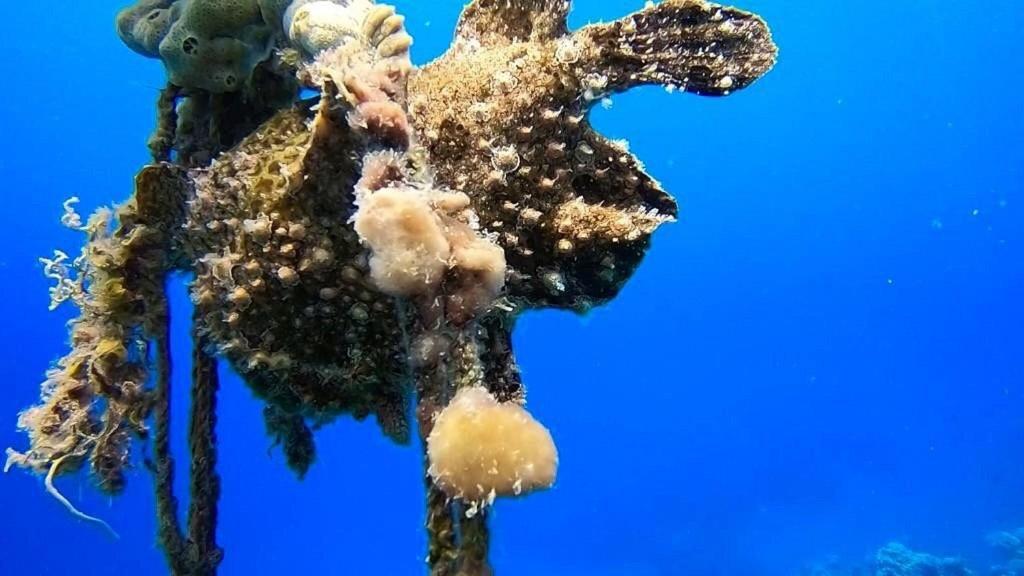 Bait Alaqaba Dive Center & Resort Exterior foto